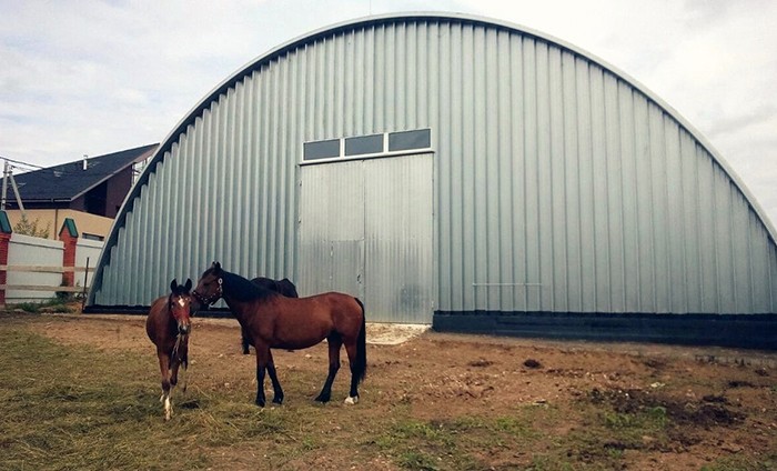 Строительство конных и конноспортивных манежей в Котельниках и по России